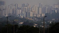Pemerintah negara bagian juga telah memperingatkan kebakaran hutan dapat menyebar dengan cepat akibat hembusan angin, yang berpotensi memusnahkan sebagian besar vegetasi alami. (AP Photo/Eraldo Peres)  