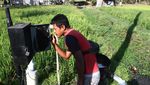 Ada Listrik Masuk Sawah, Petani Bisa Panen Tiga Kali Setahun