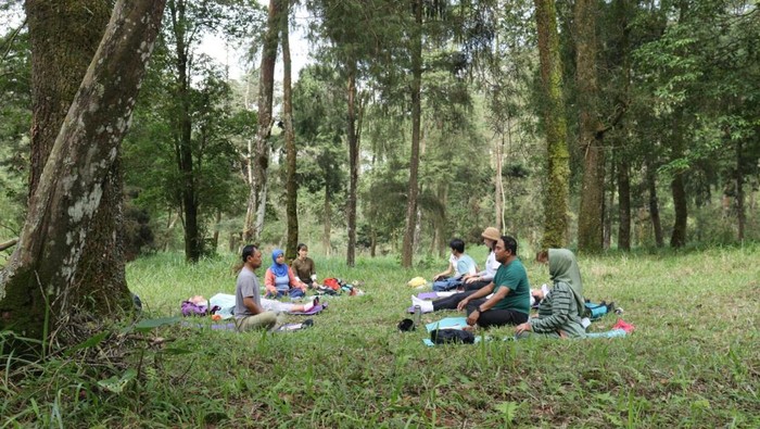 Para pengunjung tengah mengikuti forest therapy di Hutan Sapuangin.