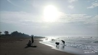 Pantai Mliwis di pagi hari