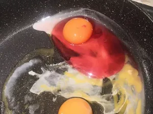 Viral Temuan Telur Warna Pink, Ahli Ingatkan Jangan Dimakan