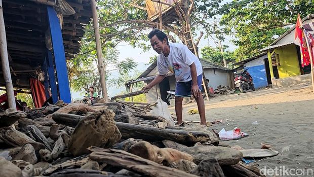 Warga Pesisir Loji mengumpulkan limbah kayu dari laut