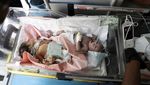 Bayi-bayi Prematur Dipindah dari RS Al-Aqsa Gaza