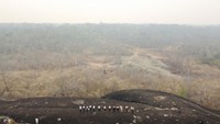 Tampak kondisi lahan kering yang mudah terbakar terbentang luas di samping lahan gosong yang telah terbakar.
