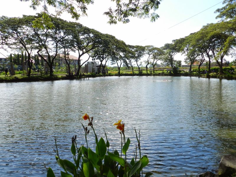Danau Buatan di Kebun Bibit Wonorejo