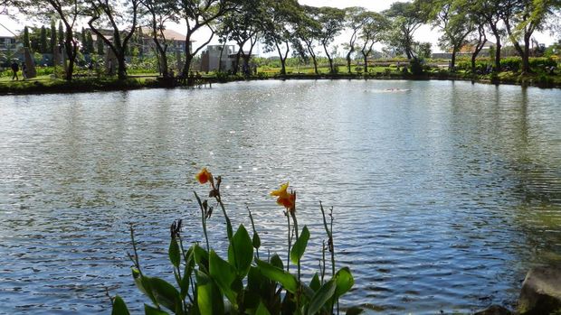 Danau Buatan di Kebun Bibit Wonorejo