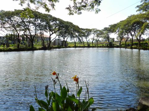 Danau Buatan di Kebun Bibit Wonorejo