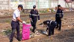 KAI Bersih-bersih Sampah di Sepanjang Rel Pasar Senen