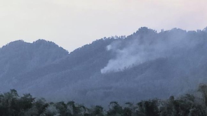 Kebakaran hutan di Coban Rondo Pujon Malang