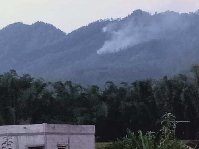 Kebakaran hutan di Coban Rondo Pujon Malang