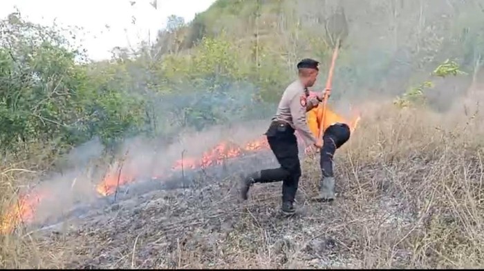 Kebakaran lahan di Trenggalek