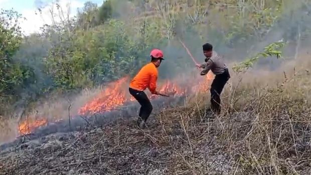 Kebakaran lahan di Trenggalek