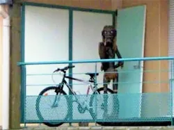 Kumpulan Foto Aneh yang Terekam dari Mobil Google