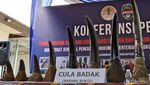 Penampakan Cula Badak-Pipa Gading Gajah yang Diamankan Gakkum LHK Sumsel
