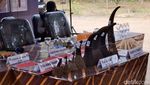 Penampakan Cula Badak-Pipa Gading Gajah yang Diamankan Gakkum LHK Sumsel