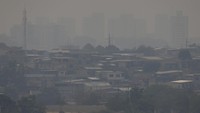 Pemerintah negara bagian juga telah memperingatkan kebakaran hutan dapat menyebar dengan cepat akibat hembusan angin, yang berpotensi memusnahkan sebagian besar vegetasi alami.