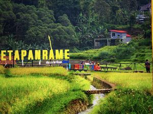 Desa BRILiaN, Motor Ekonomi Lokal dari Bank BRI, Berdayakan 5.000 Desa