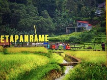 Desa BRILiaN, Motor Ekonomi Lokal dari Bank BRI, Berdayakan 5.000 Desa