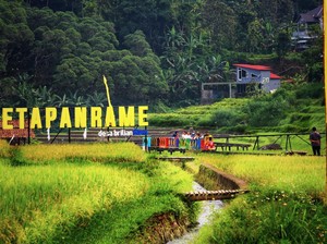 Desa BRILiaN, Motor Ekonomi Lokal dari Bank BRI, Berdayakan 5.000 Desa