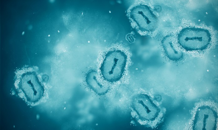Ilustrasi virus cacar monyet atau monkeypox