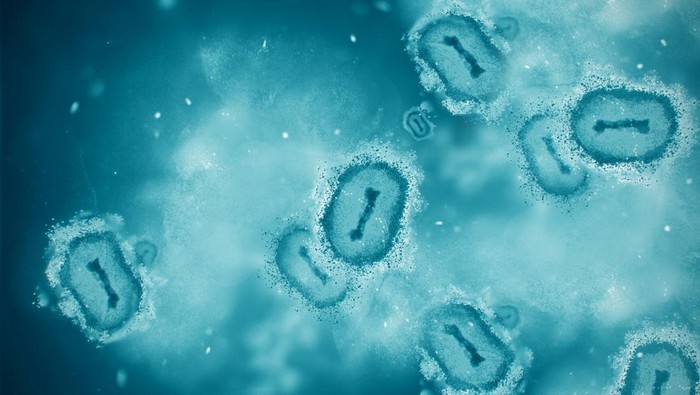 1 Santri di Riau Meninggal Dunia, Diduga Terinfeksi Cacar Monyet Mpox