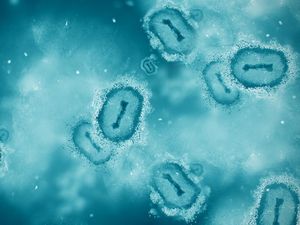 1 Santri di Riau Meninggal Dunia, Diduga Terinfeksi Cacar Monyet Mpox