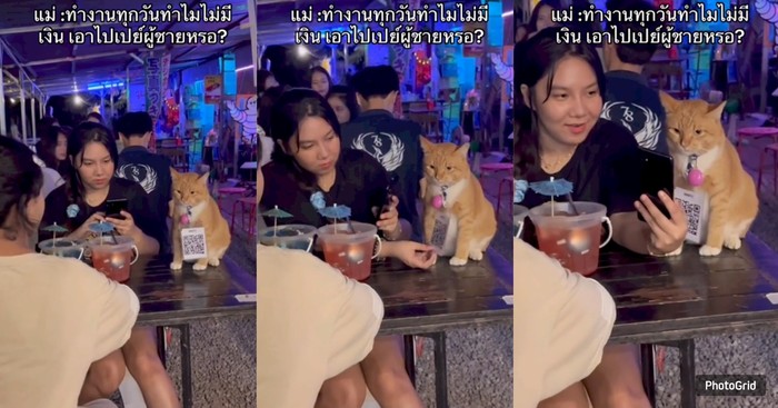 Unik! Ada Kafe Viral Gegara Kasirnya Berbulu