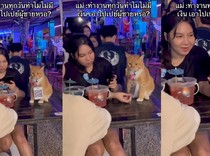 Unik! Ada Kafe Viral Gegara Kasirnya Berbulu