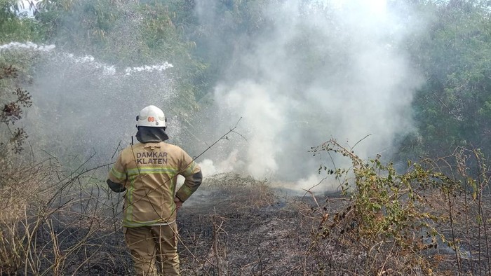 Kebakaran lahan di Desa Banaran, Kecamatan Delanggu, Klaten, Kamis (28/8/2024).