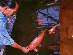 Kumpulan Foto Bersejarah yang Memiliki Kisah Mencengangkan