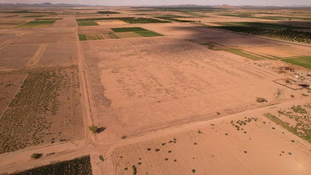 Pemandangan drone menunjukkan ladang tanaman di dekat bendungan Las Lajas yang terkena dampak kekeringan parah, di Buenaventura, negara bagian Chihuahua, Meksiko, 23 Agustus 2024. (REUTERS/Jose Luis Gonzalez)