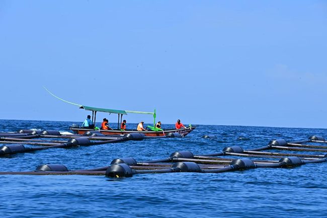 PT Ratuworld Aquaculture International Dukung Pemerintah Wujudkan Ekonomi Biru