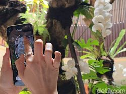 Wujud Samsung Galaxy A55 Awesome Lemon Harga Rp 5 Jutaan