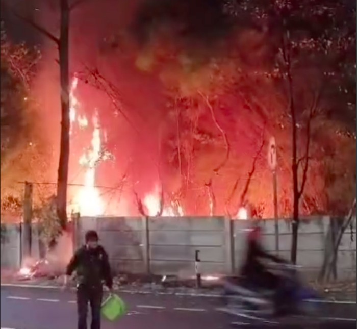 Sejumlah pohon berada di pinggir Jalan Pesanggrahan, Jakbar, terbakar. Petugas amkar memadamkan api yang sempat berkobar. (dok IG @humasjakfire)