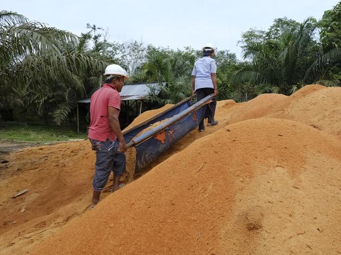 Serbuk Kayu Jadi Bahan Bakar