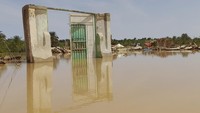 Banjir ini disebabkan karena tanggul jebol akibat diterjang hujan deras.  