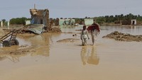 Kementerian Kesehatan Sudan mencatat ada 132 orang meninggal dunia akibat banjir di Sudan tahun ini.