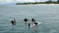 Ketika kami bertualang di sebuah destinasi di perjalanan Jawa-NTT. Kami melakukan diving di dekat Pantai Merah.