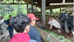 Belajar Ternak Kambing di Jogja? Cobalah ke Desa Ini