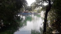 Rindang pepohonan di tepian Telaga Biru Cicerem Kuningan.