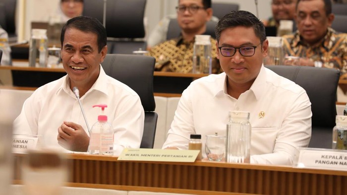 Wakil Menteri Pertanian Sudaryono
