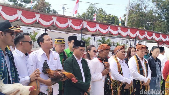 Ritual Barosai saat pendaftaran Edistasius Endi -Yulianus Weng (Edi-Weng) di halaman Kantor KPU Manggarai Barat, NTT, Kamis (29/8/2024). (Ambrosius Ardin)