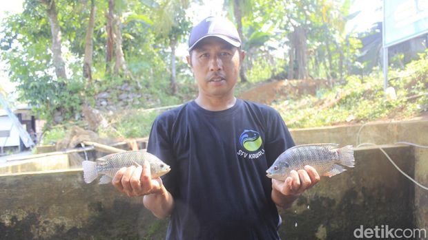 Iim Gala Permana, pendiri Kampung Nila Kawali