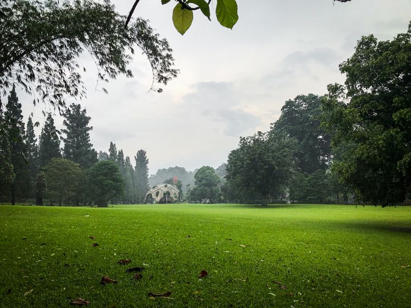 Meadow in Bogor Botanical Gardens