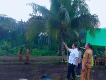 Kementan Tanam Padi Gogo 464 Hektare di Minut demi Cegah Krisis Pangan