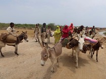 Korban Banjir Akibat Tanggul Jebol di Sudan Dievakuasi