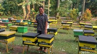 Menurut pemandu bernama Rudi banyak pembeli Madu Pramuka itu penasaran bagaimana proses dari madu yang mereka beli. Ada dua jenis lebah budidaya yang ada di taman ini yakni lebah Trigona dan Apis Mellifera.  