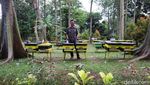 Melihat Destinasi Edukasi Taman Wisata Lebah Jakarta Timur