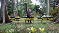 Taman Wisata Lebah ini areanya cukup luas sekitar lima hektar, di tempat ini suasananya begitu asri dengan area hijau terbuka dengan banyaknya pepohonan. Sesuai dengan nama tempatnya, Taman Wisata Lebah merupakan area wisata edukasi terkait budidaya lebah, madu, dan olahan lainnya.  