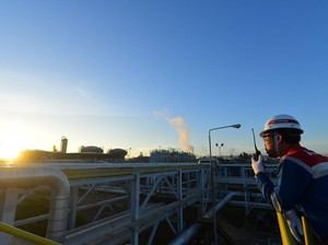 Lowongan Magang Pertamina Hulu Rokan Jakarta-Riau, Tanpa Batasan Usia!